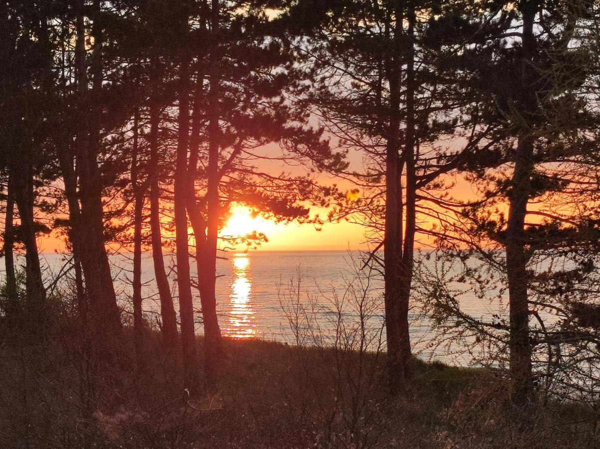 Baltichoff Premium With Sea View, Basen, Spa, Gym, Sauna, Hala Sportowa Z Kortem Tenisowym